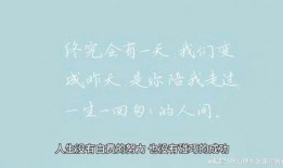 情感语录最新爆料文案,最新爆料，揭开心灵深处的故事