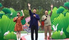 四川可乐爆料辛巴视频最新